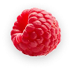 Framboise fraîche posée à plat sur fond transparent