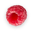 Framboise fraîche vue sous un autre angle sur fond transparent