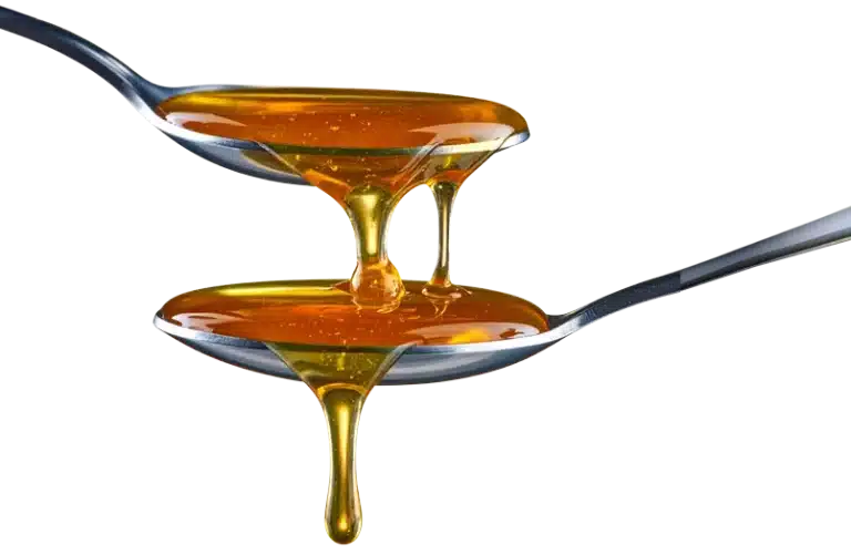 Cuillère plongée dans un pot de Sirop de Liège